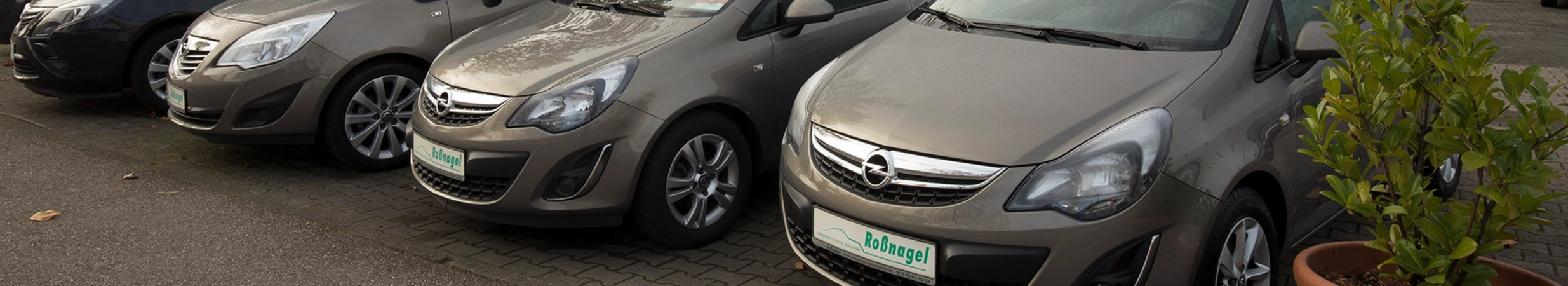 Mehrere Fahrzeuge von Autohaus Rossnagel auf dem Kennzeichen stehen nebeneinander.